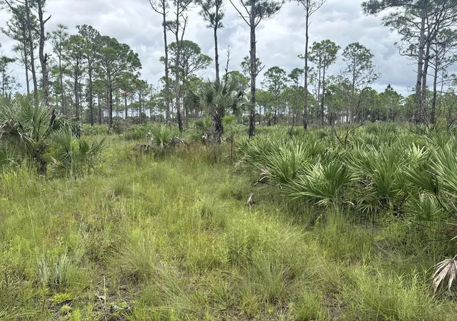 Photo 2 of Land for sale at 0 Grant Rd, Palm Bay, FL 32909 | MLS# B26075852 | Listing updated on 2026-09-14