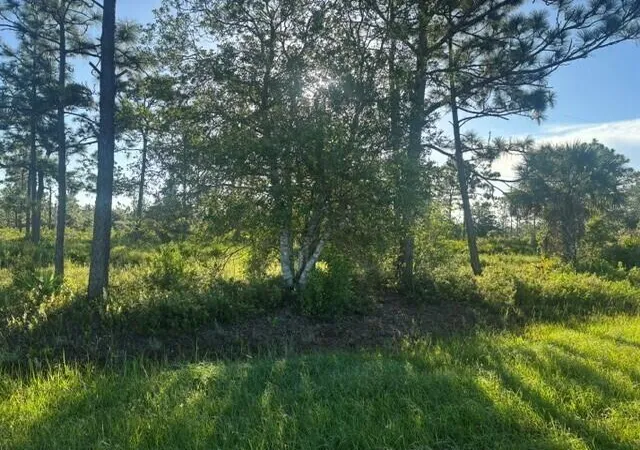 Photo 3 of Land for sale at 0 Grant Rd, Palm Bay, FL 32909 | MLS# B26075852 | Listing updated on 2026-09-14