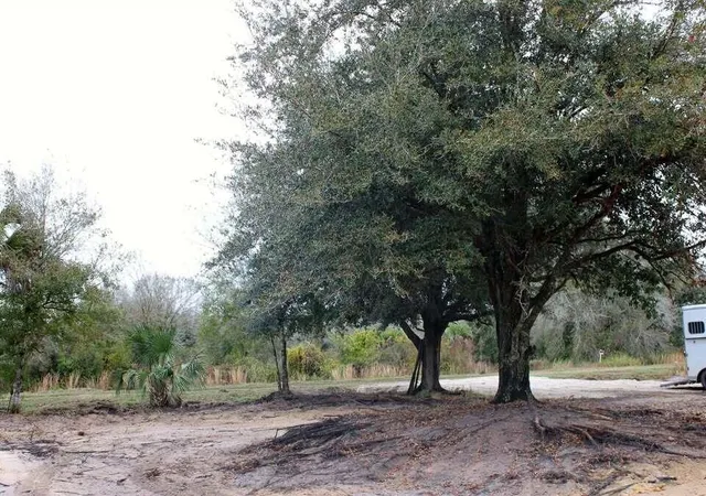 Photo 2 of Land for sale at 19576 Nw 264th Street, Okeechobee, FL 34972 | MLS# B26076021 | Listing updated on 2026-09-14