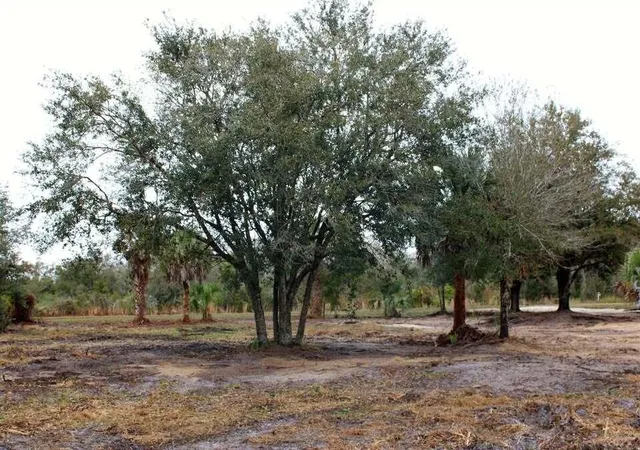 Photo 3 of Land for sale at 19576 Nw 264th Street, Okeechobee, FL 34972 | MLS# B26076021 | Listing updated on 2026-09-14