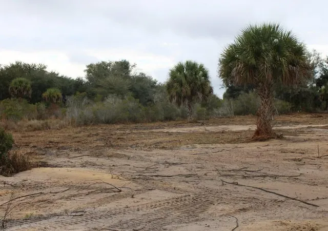 Photo 4 of Land for sale at 19576 NW 264th Street, Okeechobee, FL 34972 | MLS# B26076021 | Listing updated on 2026-09-14