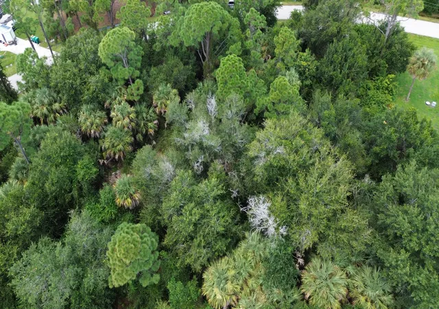 Photo 3 of Land for sale at 12094 Borax Ave, Punta Gorda, FL 33955 | MLS# B26076083 | Listing updated on 2026-09-14