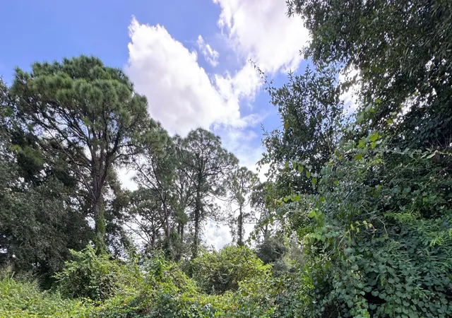 Photo 1 of Land for sale at 6801 Deland Ave, Fort Pierce, FL 34951 | MLS# B26076661 | Listing updated on 2026-09-16