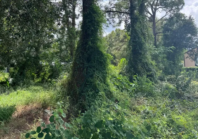 Photo 4 of Land for sale at 6801 Deland Ave, Fort Pierce, FL 34951 | MLS# B26076661 | Listing updated on 2026-09-16