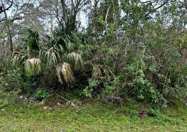 Land for sale at 2120 Scott Ave, Alva, FL 33920 | MLS# B26076979