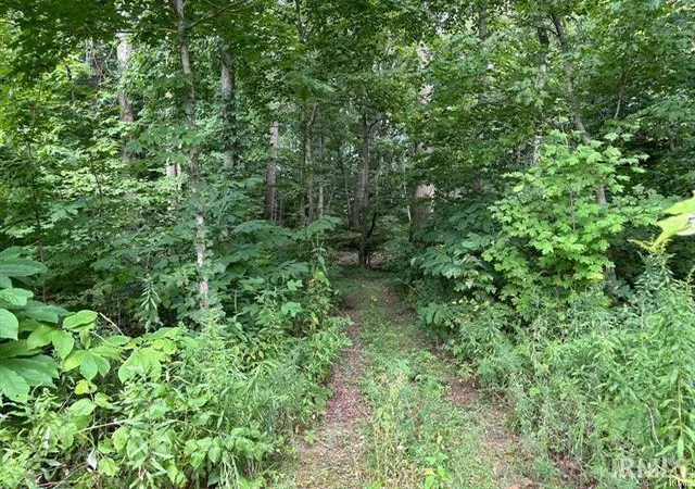 Photo 4 of Land for sale at 10275 E 1075 Road, Galveston, IN 46932 | MLS# 202636079 | Listing updated on 2026-09-02