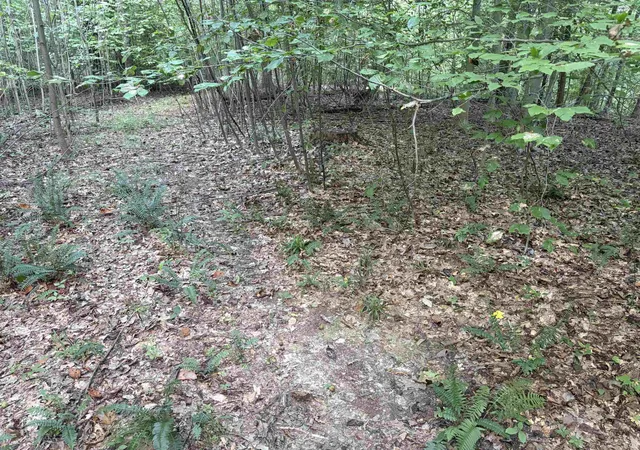Photo 2 of Sale Pending at 0 S Mifflin Westfork Rd, English, IN 47118 | MLS# 202636224 | Listing updated on 2026-09-08
