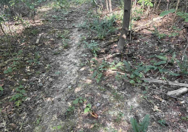 Photo 2 of Sale Pending at 0 S Mifflin Westfork Rd, English, IN 47118 | MLS# 202636224 | Listing updated on 2026-09-08
