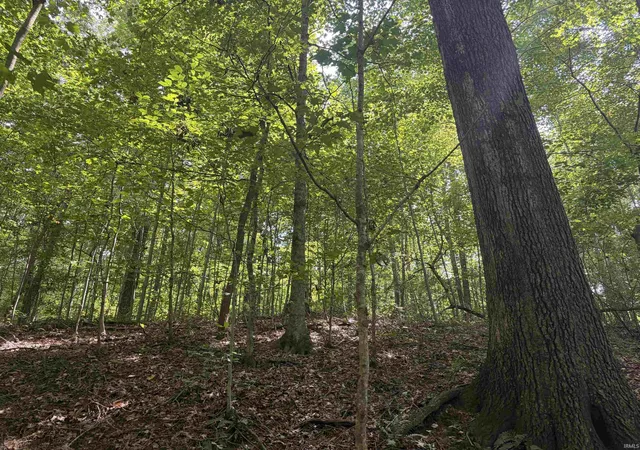 Photo 3 of Sale Pending at 0 S Mifflin Westfork Rd, English, IN 47118 | MLS# 202636224 | Listing updated on 2026-09-08