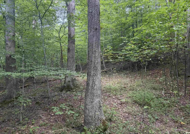 Photo 4 of Sale Pending at 0 S Mifflin Westfork Rd, English, IN 47118 | MLS# 202636224 | Listing updated on 2026-09-08
