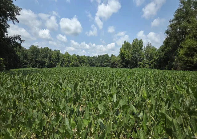 Photo 3 of Sale Pending at 13 Acres 300 S & 1200 E Rd, Loogootee, IN 47553 | MLS# 202636240 | Listing updated on 2026-09-02
