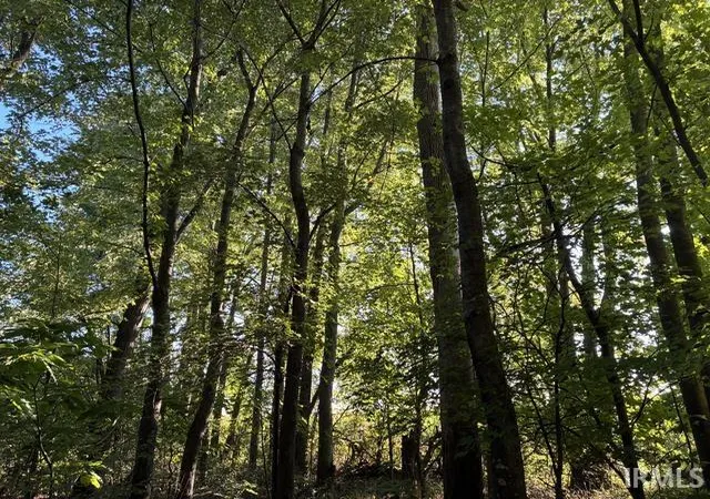 Photo 3 of Land for sale at 2861 E 1550 North Rd, Summitville, IN 46070 | MLS# 202636531 | Listing updated on 2026-09-07