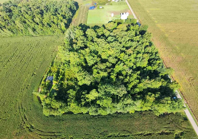 Photo 3 of Land for sale at 2861 E 1550 North Rd, Summitville, IN 46070 | MLS# 202636531 | Listing updated on 2026-09-07