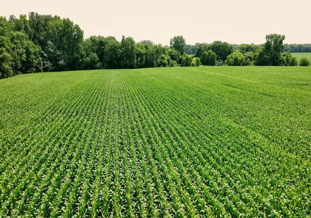 Photo 3 of Land for sale at 2001 W Crystal Lake Rd, Warsaw, IN 46580 | MLS# 202636595 | Listing updated on 2026-09-04