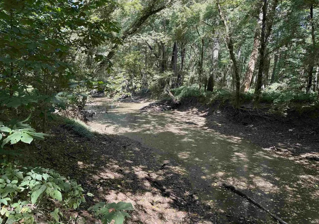Photo 1 of Land for sale at 0 Highway 1, Allendale, IL 62410 | MLS# 202636986 | Listing updated on 2026-09-08