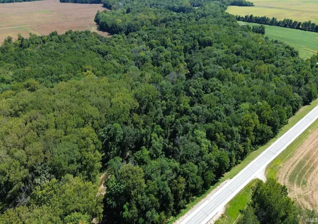 Photo 3 of Land for sale at 0 Highway 1, Allendale, IL 62410 | MLS# 202636986 | Listing updated on 2026-09-08