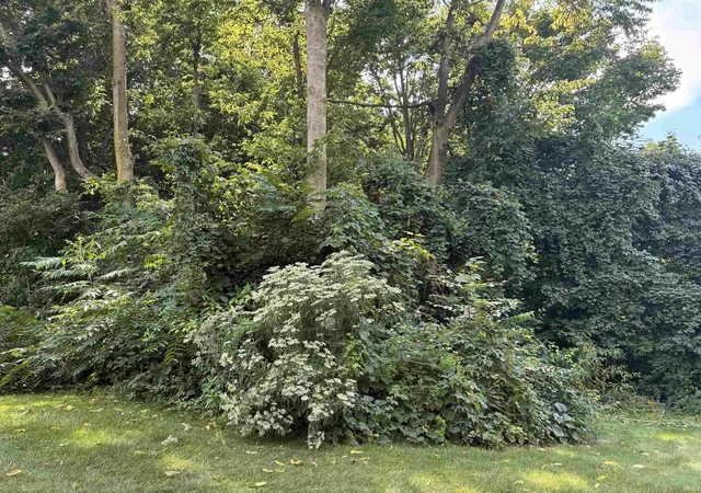 Photo 2 of Land for sale at 602 E Tasher St, South Bend, IN 46614 | MLS# 202637530 | Listing updated on 2026-09-11