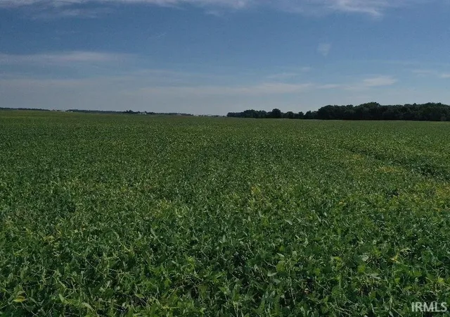 Photo 2 of Land for sale at 650 South, Geneva, IN 46740 | MLS# 202641555 | Listing updated on 2026-10-07