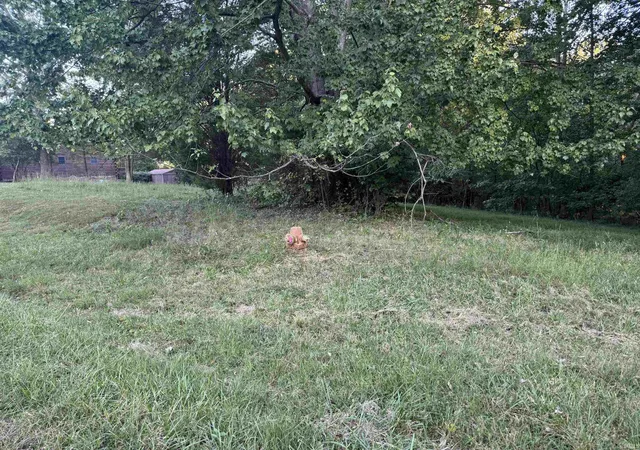 Photo 4 of Land for sale at Ornament W, Santa Claus, IN 47579 | MLS# 202642400 | Listing updated on 2026-10-13