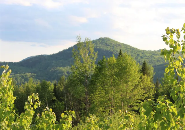 Photo 3 of Land for sale at 0 Town Line Rd, North Stratford, NH 03590 | MLS# 4953131 | Listing updated on 2026-09-03
