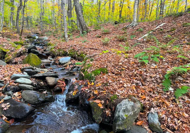 Photo 4 of Land for sale at 0 Cider Mountain Rd, Warren, VT 05674 | MLS# 4974380 | Listing updated on 2026-09-01