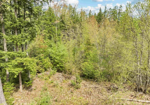 Land for sale at Lot 42,43,44,49 G St, Conway, NH 03818 | MLS# 4996541