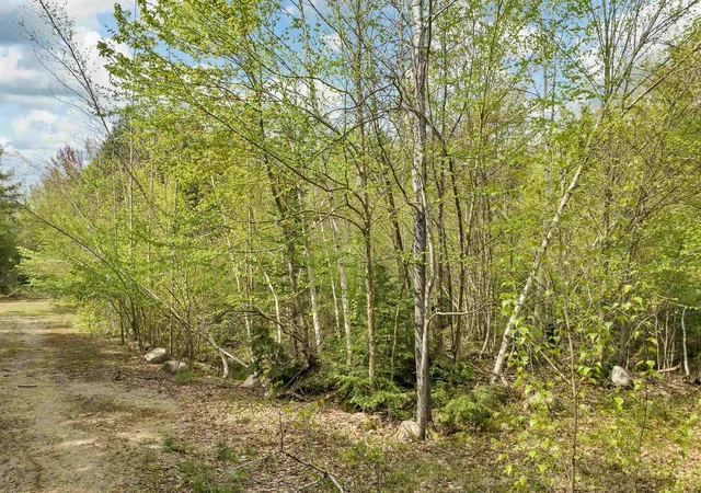 Photo 3 of Land for sale at Lot 42,43,44,49 G St, Conway, NH 03818 | MLS# 4996541 | Listing updated on 2026-09-30