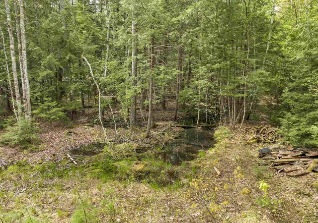 Photo 4 of Land for sale at Lot 42,43,44,49 G St, Conway, NH 03818 | MLS# 4996541 | Listing updated on 2026-09-30