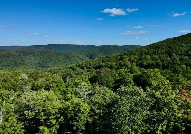 Photo 1 of Land for sale at S 1c Great Roaring Brook Rd, Plymouth, VT 05056 | MLS# 5027249 | Listing updated on 2026-09-02