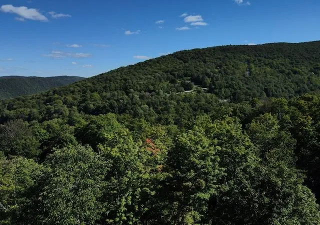 Photo 3 of Land for sale at S 1c Great Roaring Brook Rd, Plymouth, VT 05056 | MLS# 5027249 | Listing updated on 2026-09-02