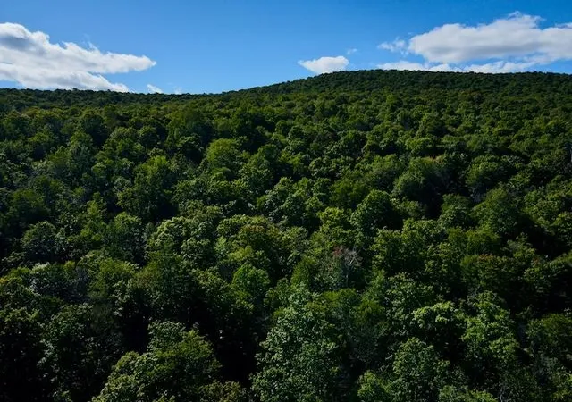 Photo 3 of Land for sale at S-1C Great Roaring Brook Rd, Plymouth, VT 05056 | MLS# 5027249 | Listing updated on 2026-09-02