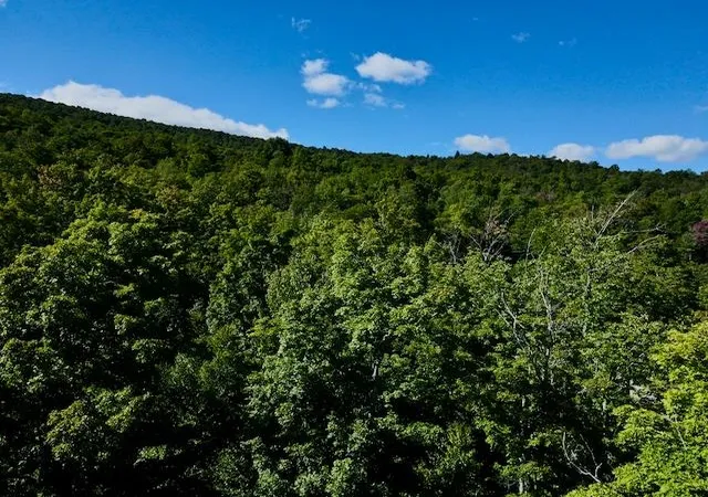 Photo 4 of Land for sale at S-1C Great Roaring Brook Rd, Plymouth, VT 05056 | MLS# 5027249 | Listing updated on 2026-09-02
