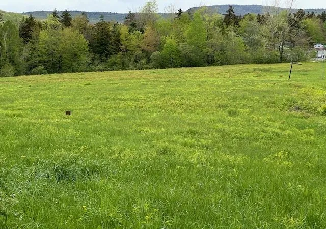 Photo 2 of Land for sale at 309 Vt Route 100, Dover, VT 05356 | MLS# 5042712 | Listing updated on 2026-09-04