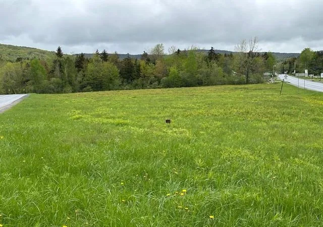 Photo 4 of Land for sale at 309 Vt Route 100, Dover, VT 05356 | MLS# 5042712 | Listing updated on 2026-09-04