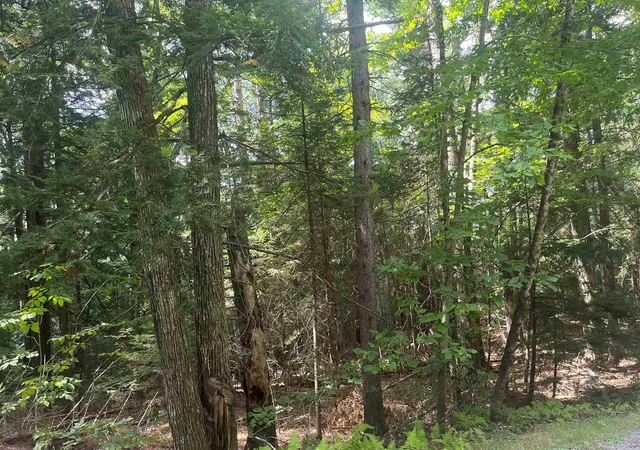 Photo 1 of Land for sale at 50 Longwood Dr, Grantham, NH 03753 | MLS# 5057099 | Listing updated on 2026-09-29