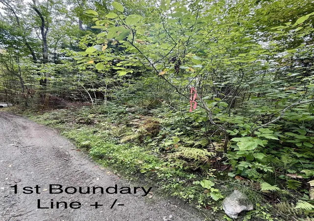 Photo 2 of Land for sale at 34 Perry Rd, Lunenburg, VT 05906 | MLS# 5061868 | Listing updated on 2026-09-06