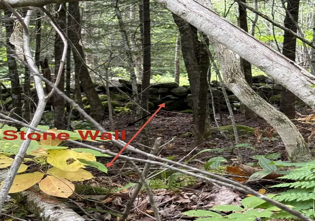 Photo 3 of Land for sale at 34 Perry Rd, Lunenburg, VT 05906 | MLS# 5061868 | Listing updated on 2026-09-06