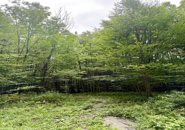 Photo 4 of Land for sale at 34 Perry Rd, Lunenburg, VT 05906 | MLS# 5061868 | Listing updated on 2026-09-06