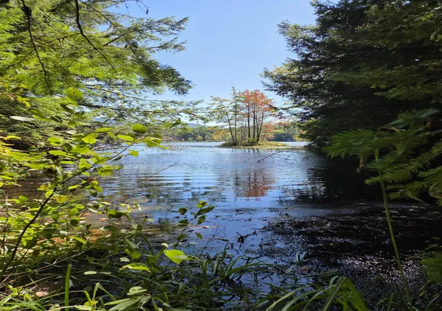 Photo 3 of Land for sale at Quiet Cove Way, Wilmot, NH 03287 | MLS# 5064270 | Listing updated on 2026-09-30