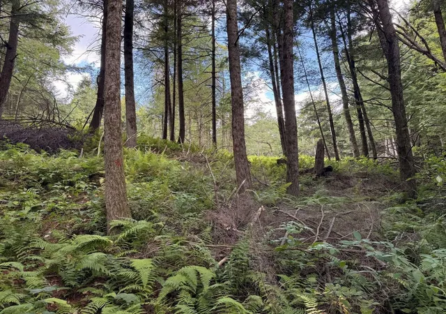 Photo 1 of Land for sale at 30 Bentley Ln, Jericho, VT 05465 | MLS# 5066396 | Listing updated on 2026-09-01