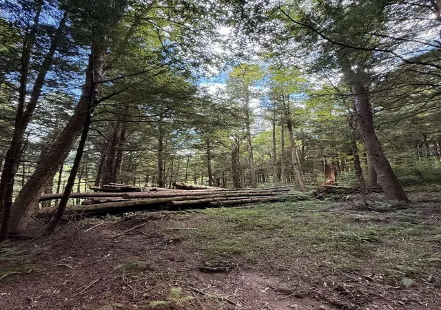 Photo 3 of Land for sale at 30 Bentley Ln, Jericho, VT 05465 | MLS# 5066396 | Listing updated on 2026-09-01