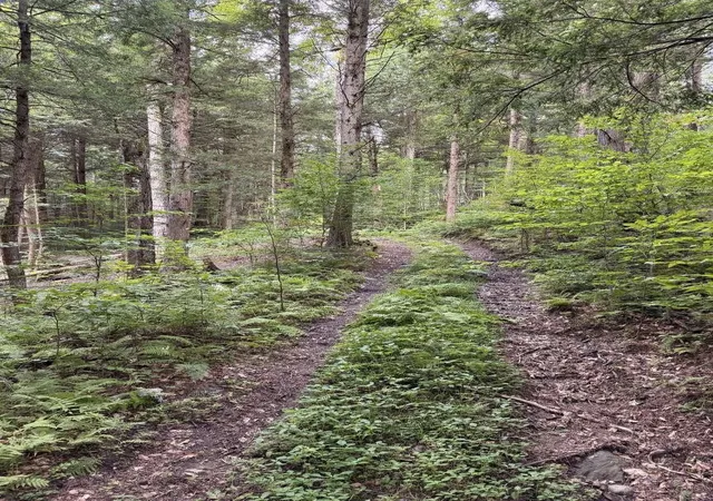 Photo 3 of Land for sale at 30 Bentley Ln, Jericho, VT 05465 | MLS# 5066396 | Listing updated on 2026-09-01