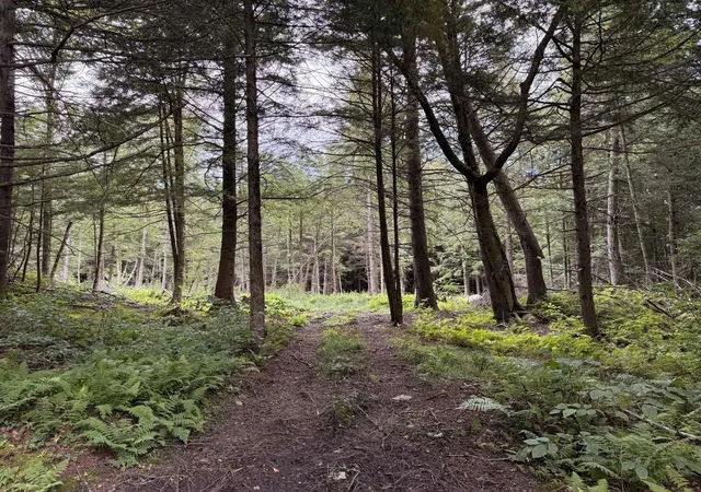 Photo 4 of Land for sale at 30 Bentley Ln, Jericho, VT 05465 | MLS# 5066396 | Listing updated on 2026-09-01