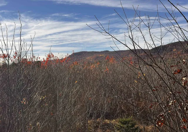 Photo 3 of Land for sale at Tbd Mcintyre Rd, Dalton, NH 03598 | MLS# 5068209 | Listing updated on 2026-09-01