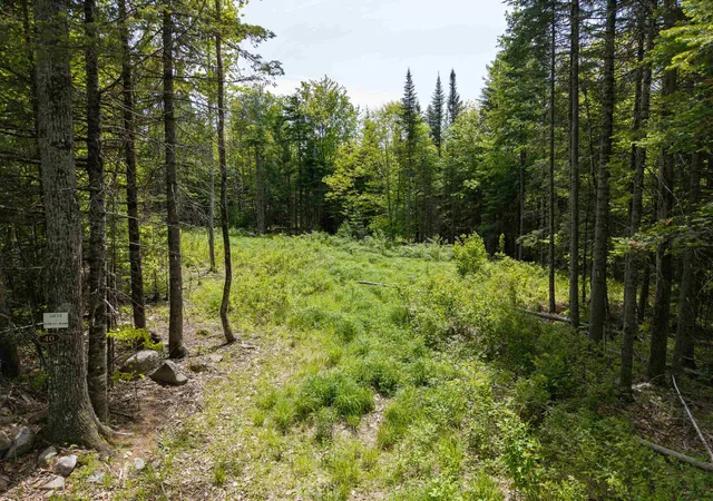 Photo 1 of Land for sale at 40 Bear Paw Trl, Littleton, NH 03561 | MLS# 5072369 | Listing updated on 2026-09-03