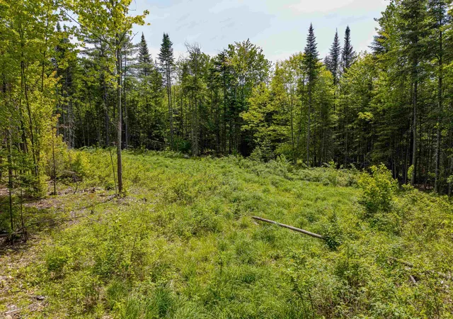 Photo 2 of Land for sale at 40 Bear Paw Trl, Littleton, NH 03561 | MLS# 5072369 | Listing updated on 2026-09-03