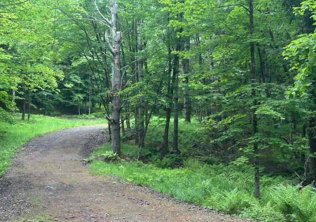 Photo 2 of Land for sale at 00 Rocky Rd, Johnson, VT 05656 | MLS# 5073765 | Listing updated on 2026-09-01