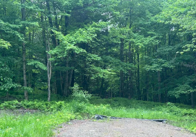 Photo 3 of Land for sale at 00 Rocky Rd, Johnson, VT 05656 | MLS# 5073765 | Listing updated on 2026-09-01