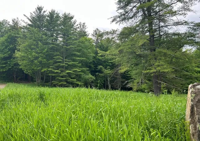 Photo 3 of Land for sale at 00 Rocky Rd, Johnson, VT 05656 | MLS# 5073765 | Listing updated on 2026-09-01