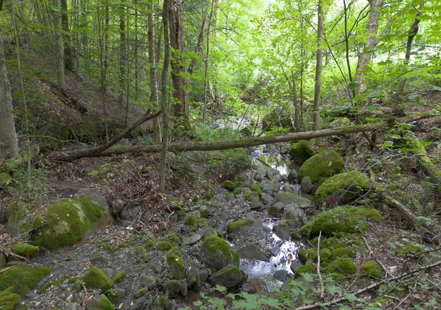 Photo 4 of Land for sale at 3465 Lamb Hill Rd, Wells, VT 05774 | MLS# 5080354 | Listing updated on 2026-10-07